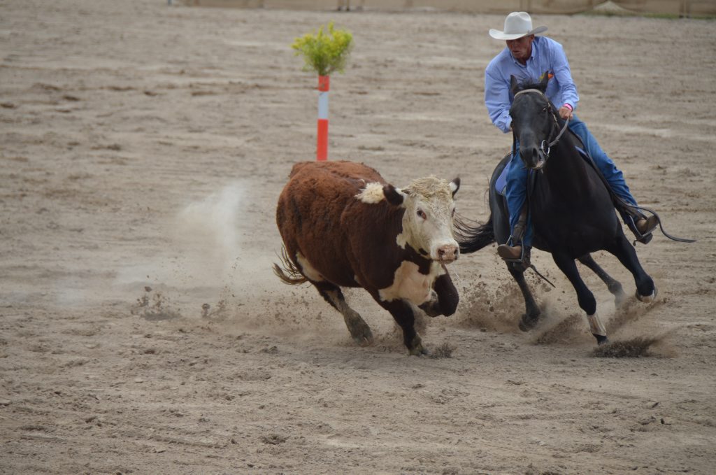 Ian Glasby in action.